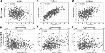 On the Relationship Between EB-3 Profiles and Microtubules Growth in Cultured Cells